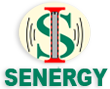 Senergy Intellution